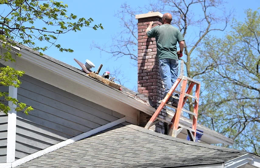 Chimney & Fireplace Inspections Services in Port Orange, FL